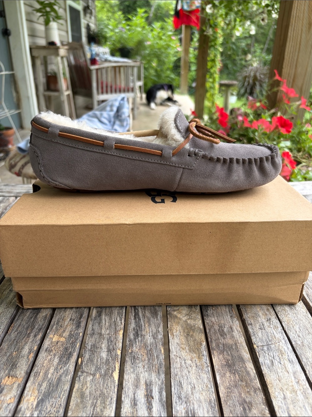 NIB UGG Women’s Dakota Moccasin Slipper - Picture 2 of 7
